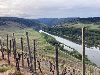 2023-05_Mosel-Camino