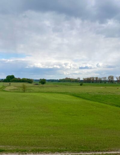 Blick ins Umland Saarmund