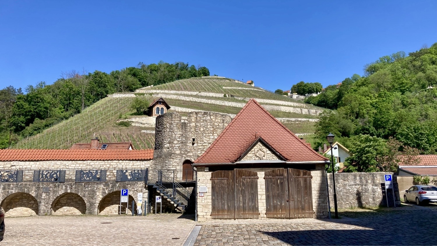 IMG_6238 Freyburg Weinberg
