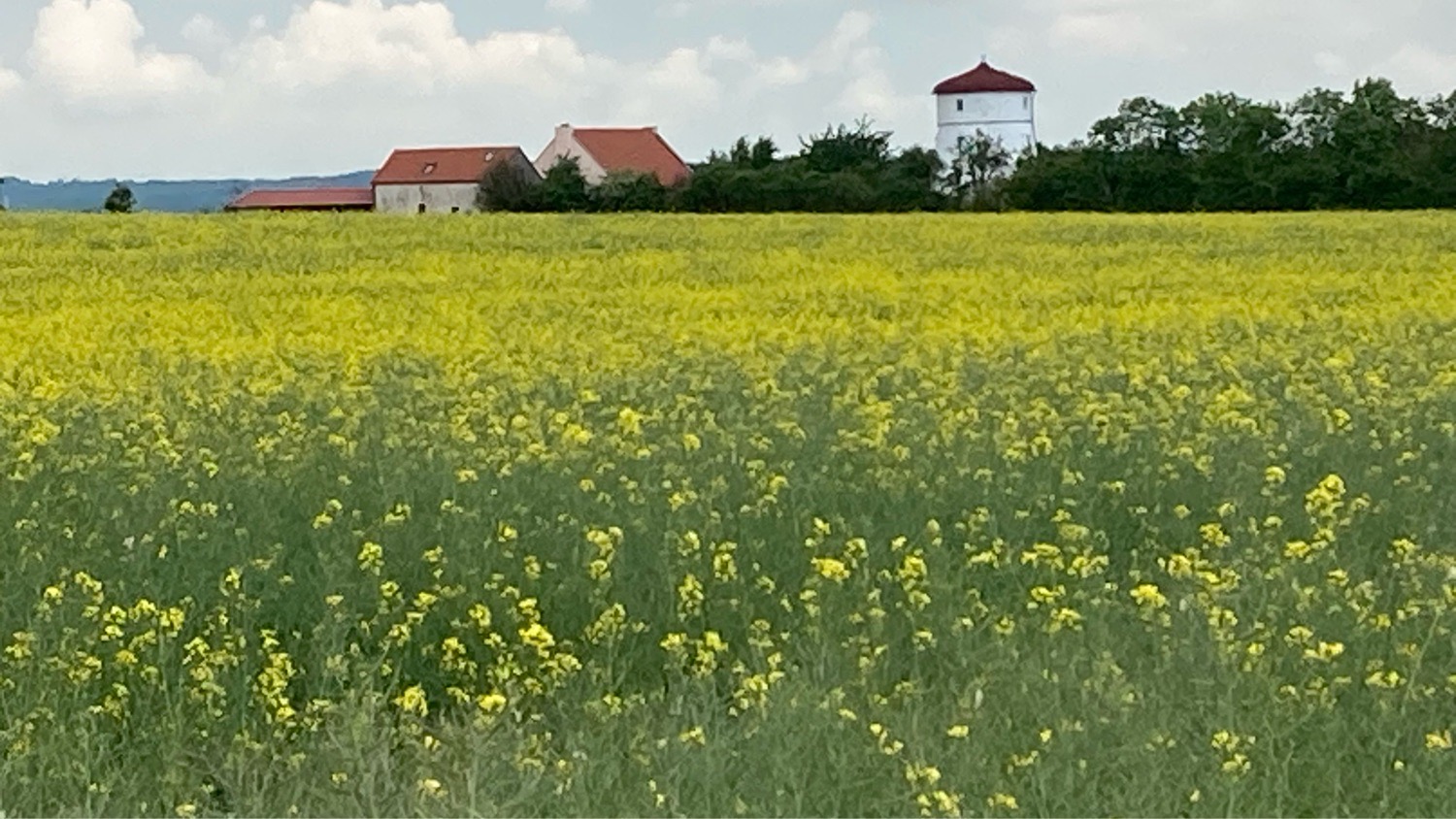 IMG_6345 Felder bis zum Horizont