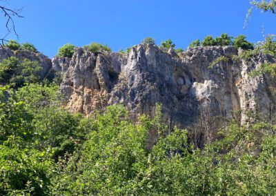 Blick nach Oben im Cure Tal