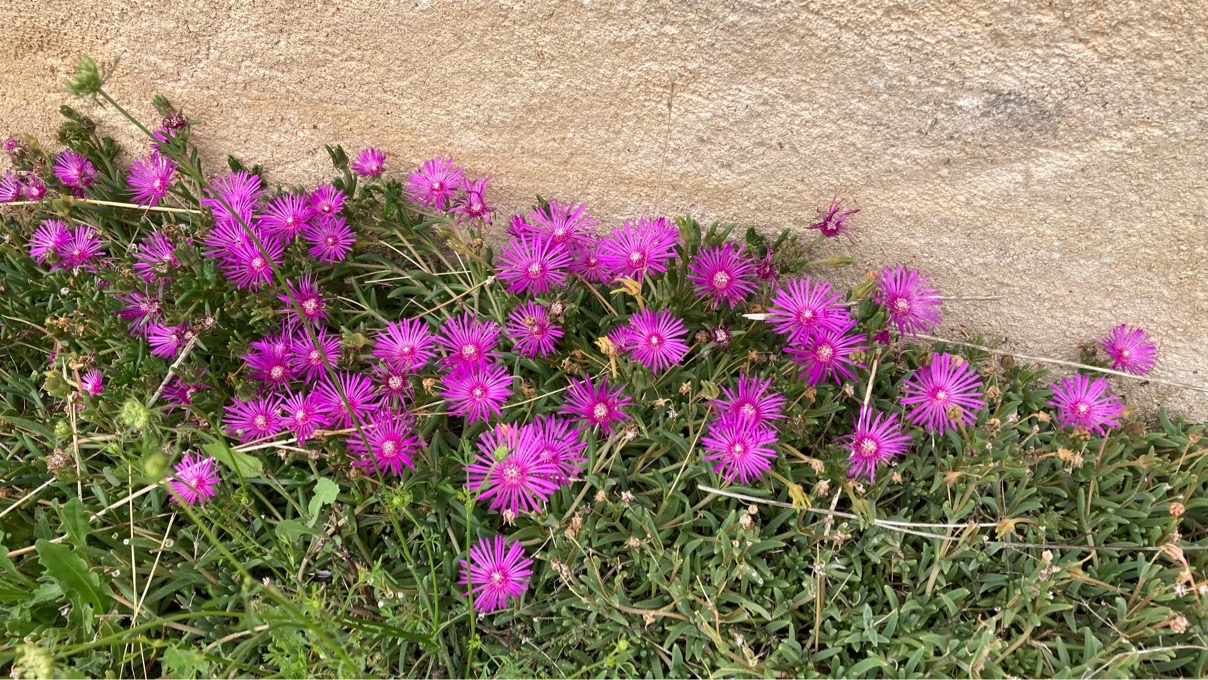 Tag 97