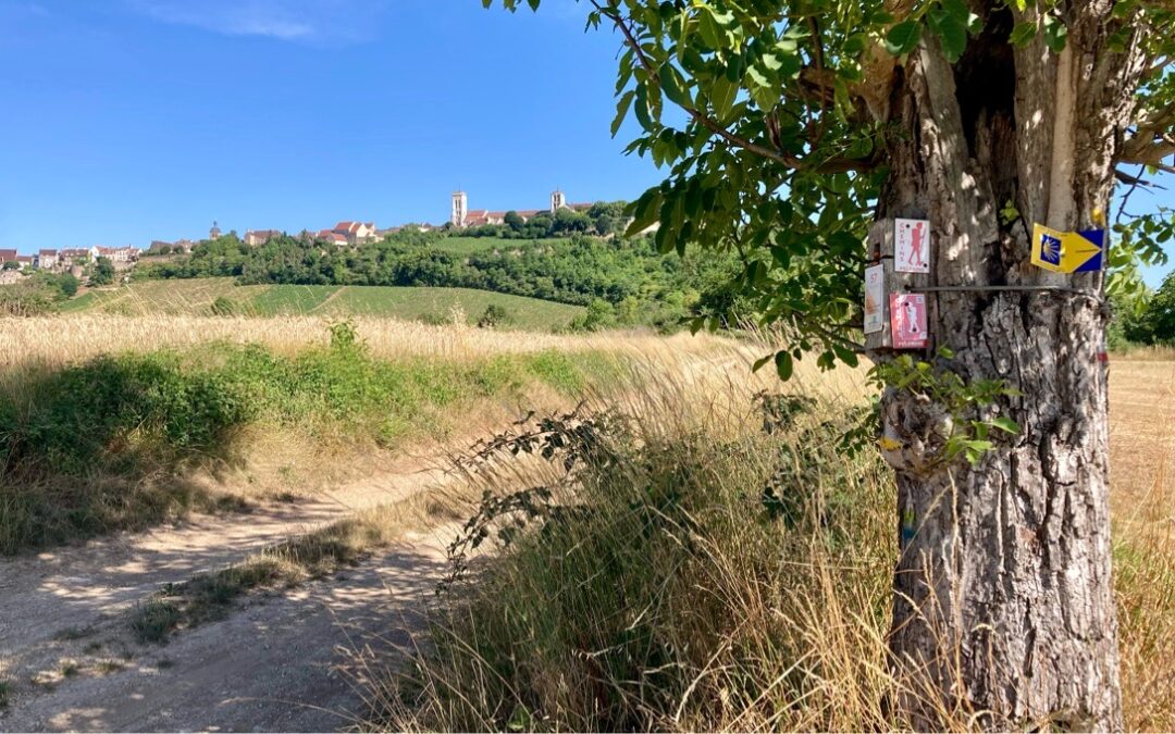Zurück auf dem Weg Tag 73