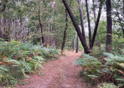 Naturpfad, Dordogne