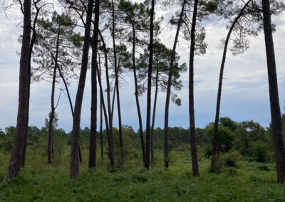 Landschaft, Dordogne